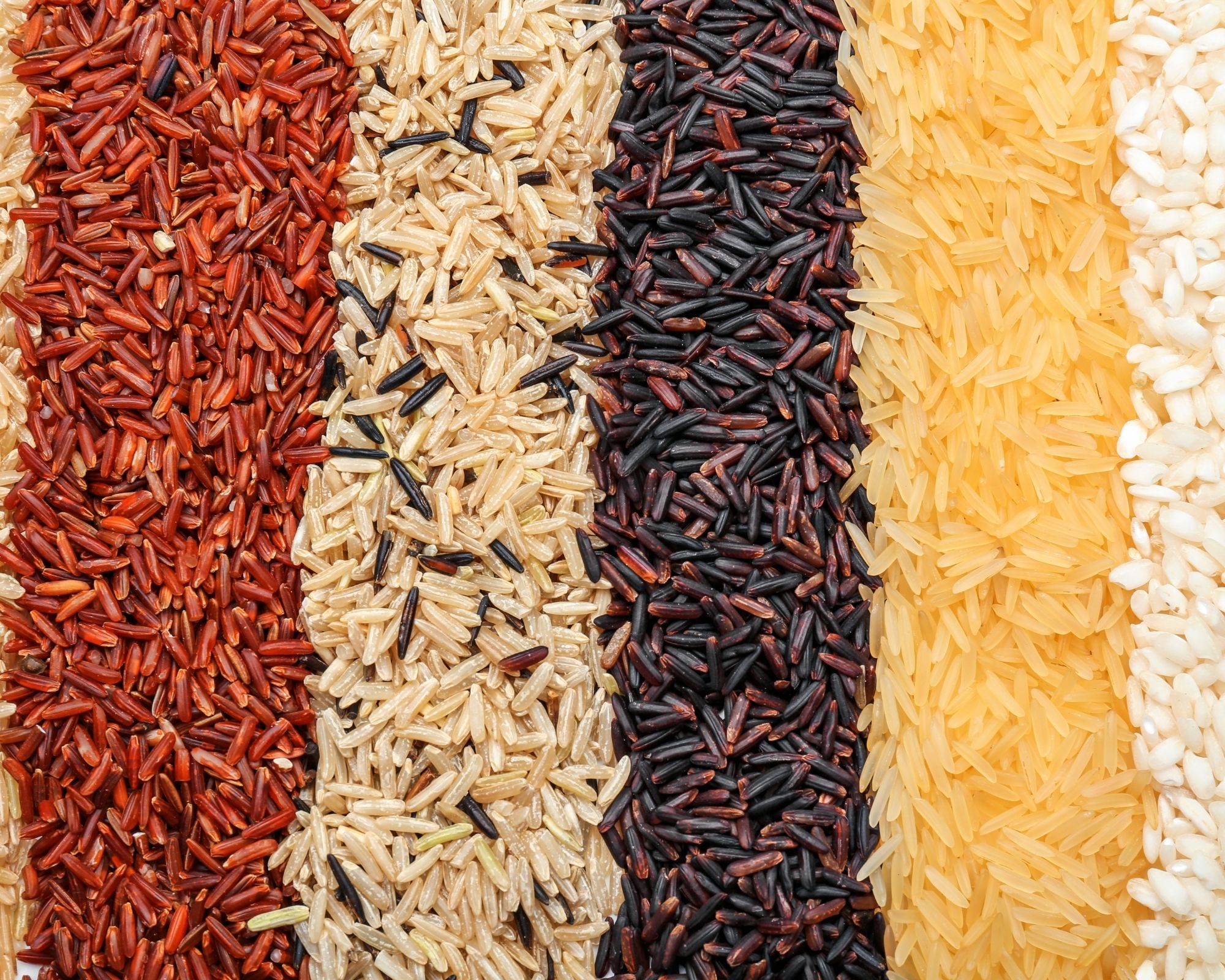 Varieties of Colored rice