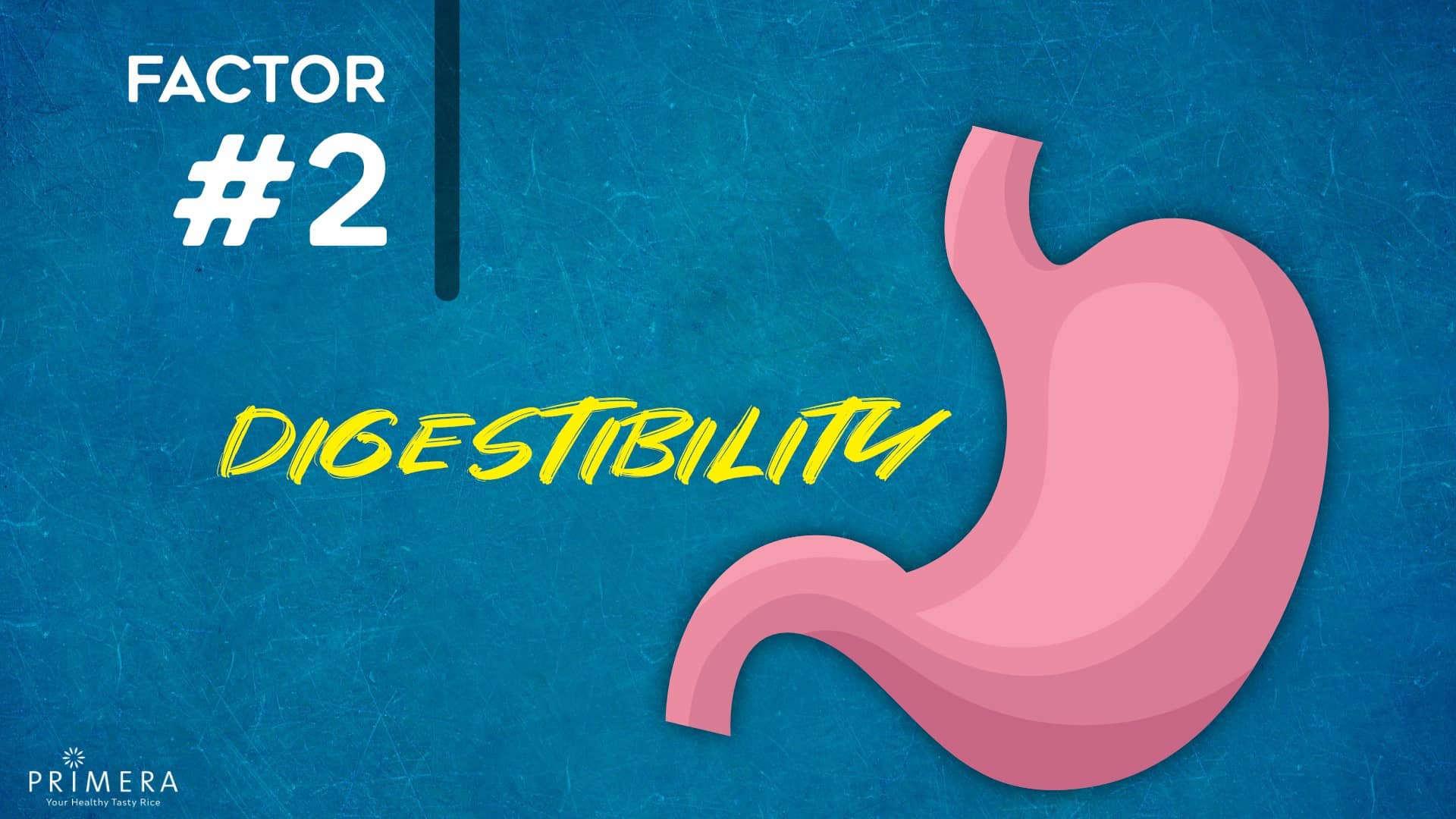 red rice, digestibility, stomach