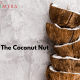 coconut, coconut milk
