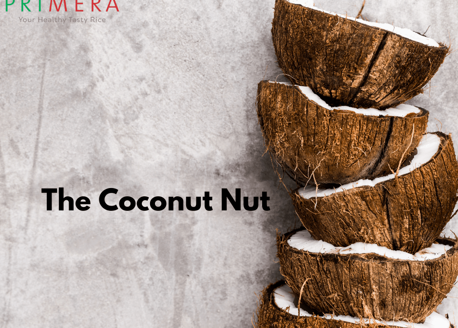 coconut, coconut milk